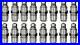 16x_HYDRAULIC_TAPPETS_LIFTERS_INA_420_0086_10_01_angb