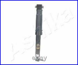 ASHIKA Pair of Rear Shock Absorbers for Renault Grand Scenic 1.6 (04/04-09/07)