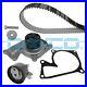 For_Renault_Nissan_1_5_Dci_Timing_Belt_Kit_with_Water_Pump_HT_Dayco_KTBWP8860_01_in